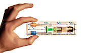 Human papillomavirus vaccine