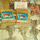 Chinese pharmacy displaying tiger bone & seahorses
