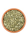 Lady's mantle herb