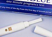 Home pregnancy test