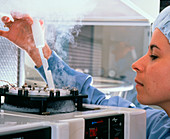 hmo laboratory: technician freezing sperm & eggs