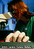 Technician sorting sperm for use in IVF