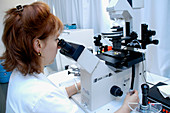 IVF treatment