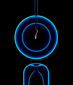 IVF,conceptual computer artwork