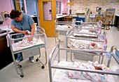 Nurse with babies in a hospital nursery