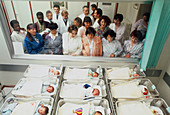 Nurses with newborn babies in a hospital nursery