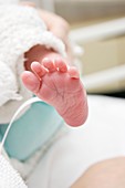 Newborn baby's foot
