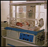 Baby in incubator,father looking on