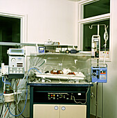 Newborn baby in an intensive care unit