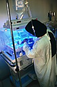 Nurse with a baby in incubator having phototherapy
