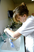 Nurse washing incubator parts