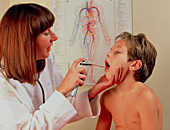 Throat examination of boy using tongue depressor