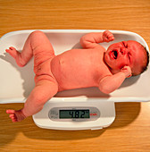 6-week-old baby girl being weighed