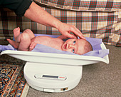 One month old baby girl being weighed