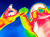 Baby holding parent's hand,thermogram