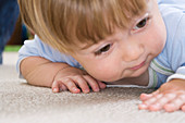 Toddler crawling