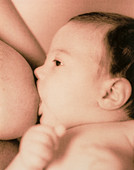 Close-up of a baby feeding at his mother's breast