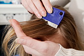 Head lice combing