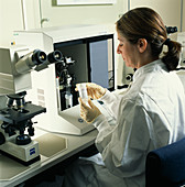 Technician analysing samples