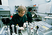 Technician prepares microscope slides of CJD brain