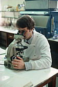 Food scientist using a microscope