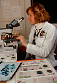 Female technician analyses cervical smears