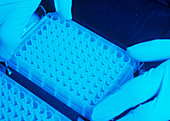 Bacterial research