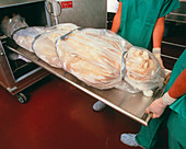 Body for 'Visible Human' being put into storage