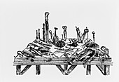 16th century dissecting tools