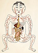 Pregnancy anatomy,15th century artwork