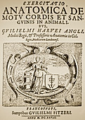 Title page of Harvey's De Motu Cordis