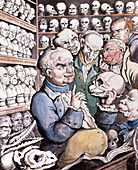 Caricature of Franz Gall,inventor of phrenology