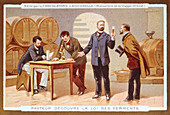 Louis Pasteur investigating fermentation