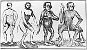 Historical engraving of apelike humans