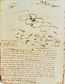 Artwork of birds in flight by Leonardo da Vinci