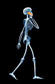 Skeleton using a mobile phone