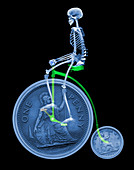 Skeleton on a penny farthing