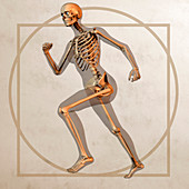 Skeleton running