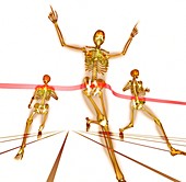 Athletes finishing a race,X-ray artwork
