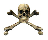 Skull and cross bones