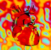 Artwork of human heart with abstract colours