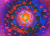 Computer artwork of red blood cells