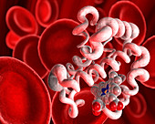 Haemoglobin subunit