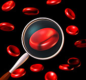 Red blood cells