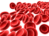 Red blood cells