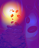 Computer artwork of a blood clot