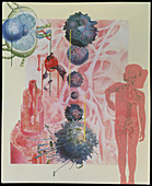 Collage artwork of cells of the immune system