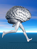 Running brain,conceptual artwork