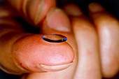 Hard contact lense on finger tip