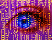 Computer graphics: human eye & circuit board